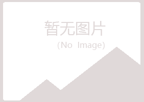 塔河县夏岚咨询有限公司